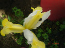 DSC06547