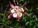 P1070181