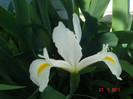 DSC06549