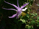 P1070195