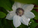 P1070216