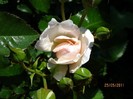 IMG_0417