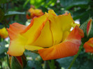 DSC06809