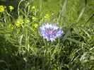 DSCN1106
