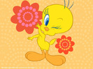 Tweety-BIrd-Wallpaper-tweety-bird-2656468-1024-768