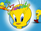 Tweety-Bird-Wallpaper-tweety-bird-5513734-1024-768