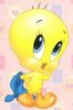 Baby-Tweety-Bird-tweety-bird-5696463-181-269