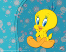 tweety_bird_wallpaper-29531