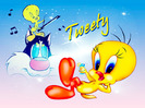 Tweety Wallpaper__yvt2