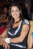galabrush_015