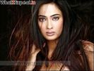 shweta_tiwari38_20090406_1011889527