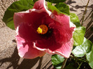 P1070281