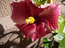 P1070289