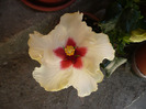 P1070298