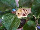 P1070307