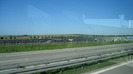 DSC02817