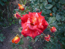 044
