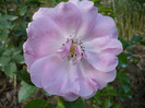 070