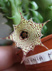 Huernia macrocarpa v. harerghensis (10)