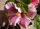 P1070315