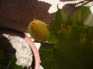 P1070333