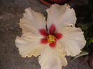 P1070317