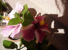 P1070372
