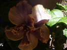 P1070373