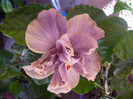 P1070376