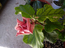 P1070379