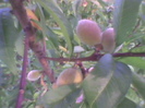 Imag0840