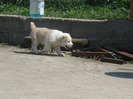 poze 23.04.2011 136