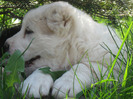 poze 23.04.2011 156