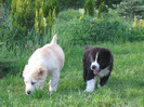 poze 22.05.2011 018