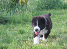 poze 22.05.2011 019