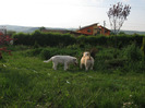 poze 22.05.2011 042