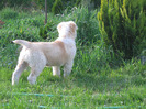 poze 22.05.2011 045