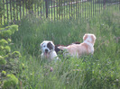 poze 22.05.2011 055
