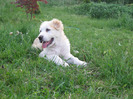 poze 22.05.2011 083