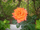 SANY0023