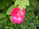 SANY0032