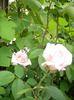 SANY0034