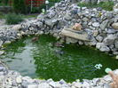 DSC00762