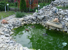 DSC00763