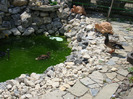 DSC00750
