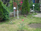 DSC00769