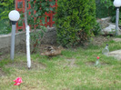 DSC00772