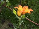 P5160436