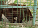 DSCF8021