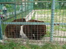 DSCF8022